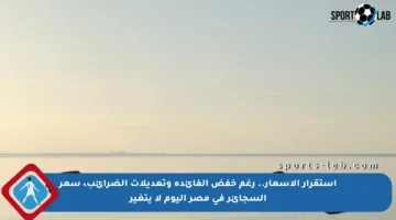 استقرار الأسعار.. رغم خفض الفائدة وتعديلات الضرائب، سعر السجائر في مصر اليوم لا يتغير